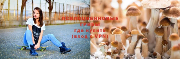 амфетамин Покачи